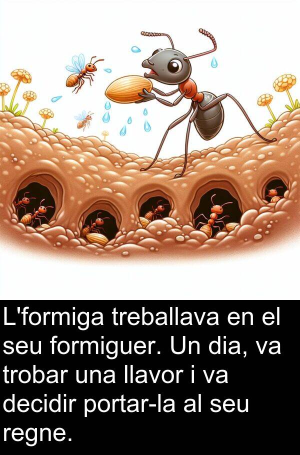 decidir: L'formiga treballava en el seu formiguer. Un dia, va trobar una llavor i va decidir portar-la al seu regne.
