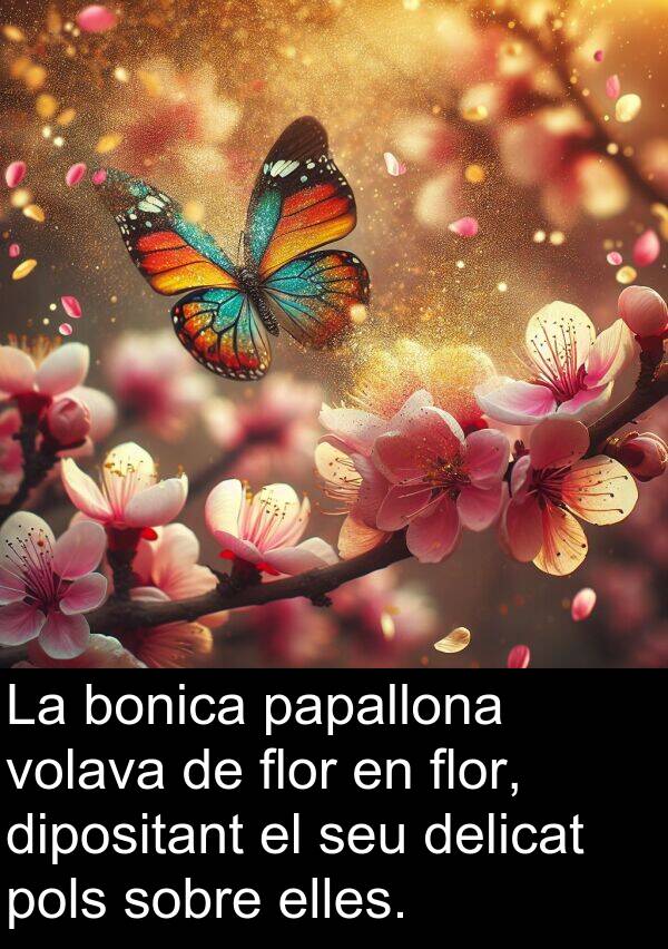 bonica: La bonica papallona volava de flor en flor, dipositant el seu delicat pols sobre elles.