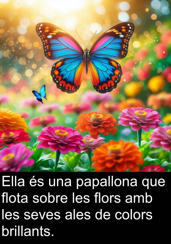 brillants: Ella és una papallona que flota sobre les flors amb les seves ales de colors brillants.