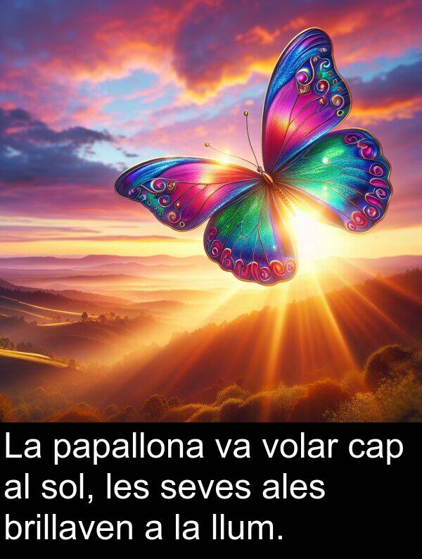 llum: La papallona va volar cap al sol, les seves ales brillaven a la llum.