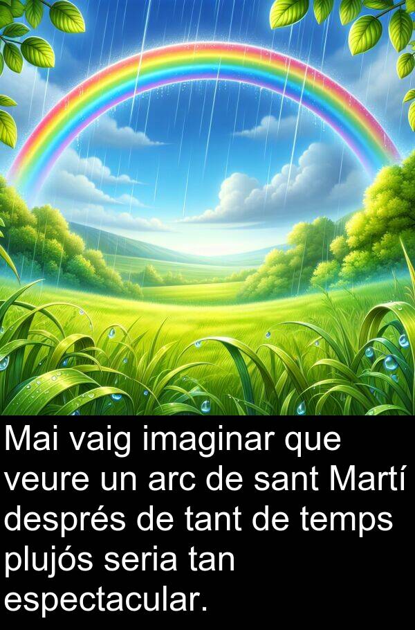 tant: Mai vaig imaginar que veure un arc de sant Martí després de tant de temps plujós seria tan espectacular.