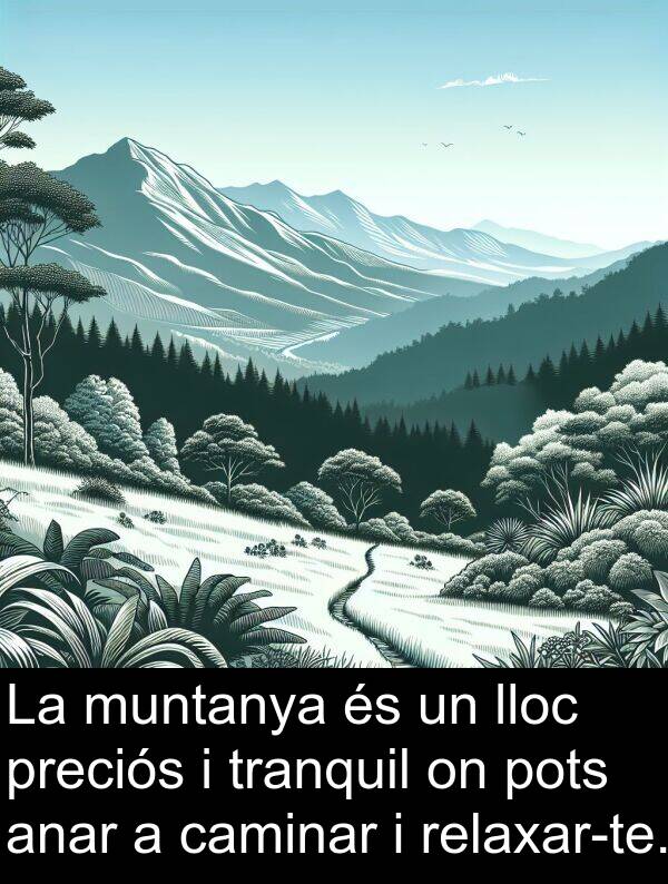 anar: La muntanya és un lloc preciós i tranquil on pots anar a caminar i relaxar-te.