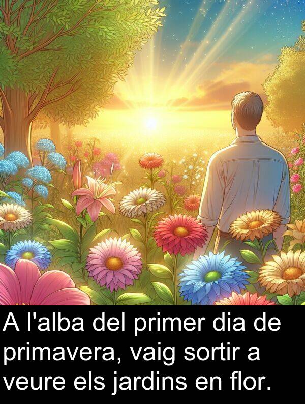sortir: A l'alba del primer dia de primavera, vaig sortir a veure els jardins en flor.