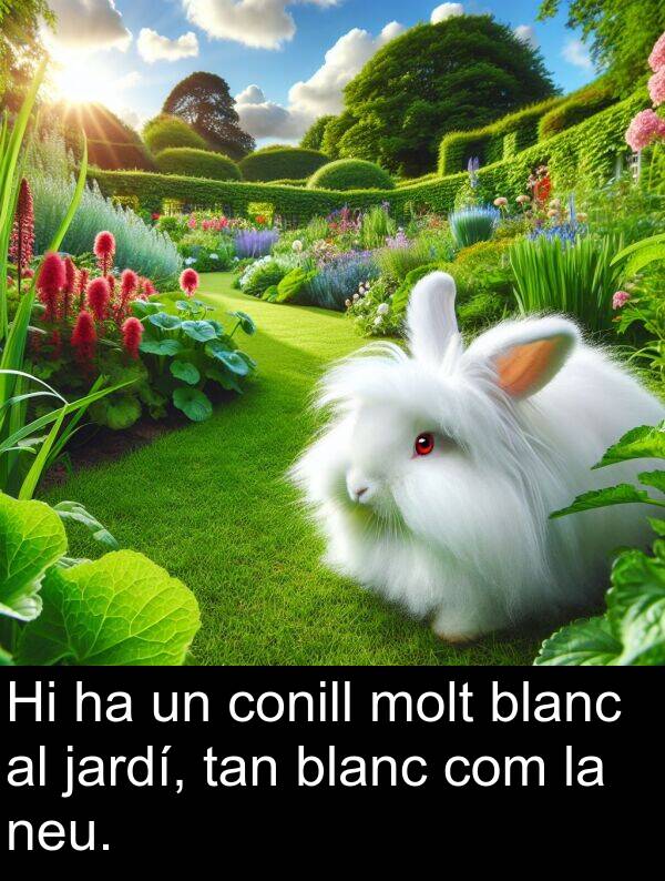 tan: Hi ha un conill molt blanc al jardí, tan blanc com la neu.