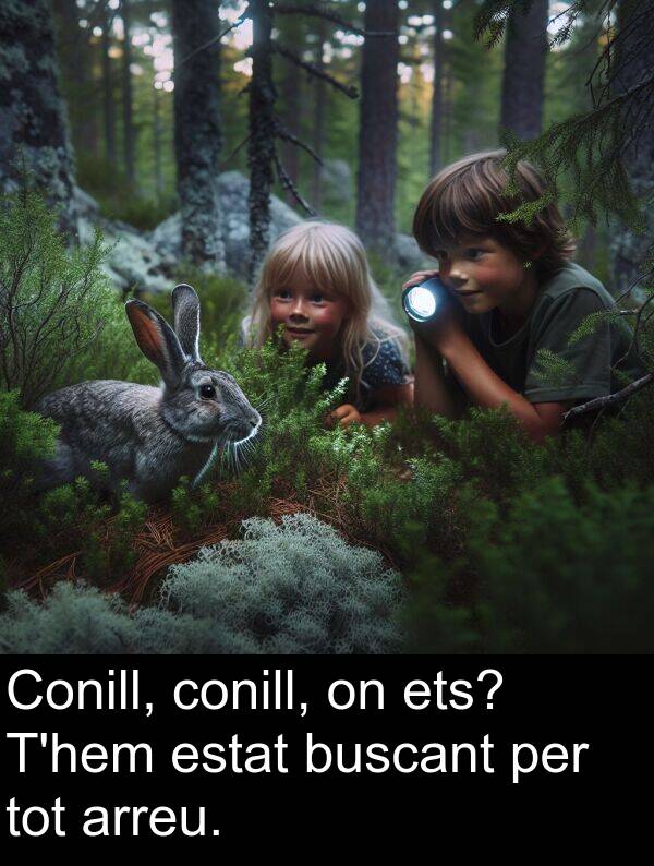 arreu: Conill, conill, on ets? T'hem estat buscant per tot arreu.