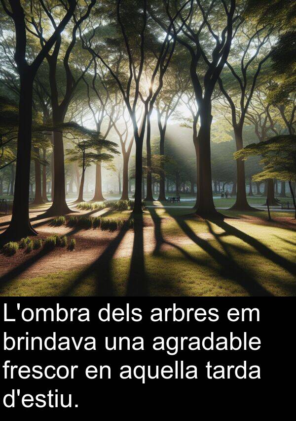 frescor: L'ombra dels arbres em brindava una agradable frescor en aquella tarda d'estiu.