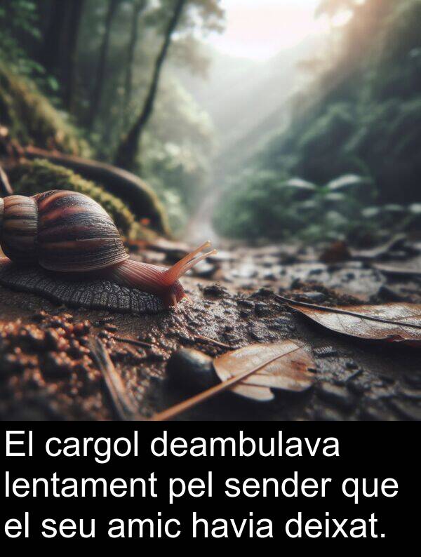 amic: El cargol deambulava lentament pel sender que el seu amic havia deixat.