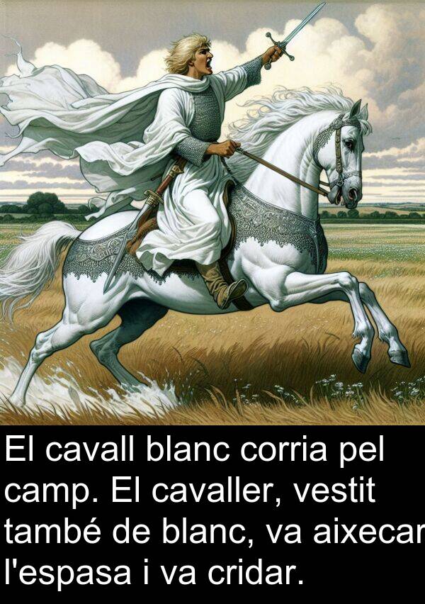 cavaller: El cavall blanc corria pel camp. El cavaller, vestit també de blanc, va aixecar l'espasa i va cridar.