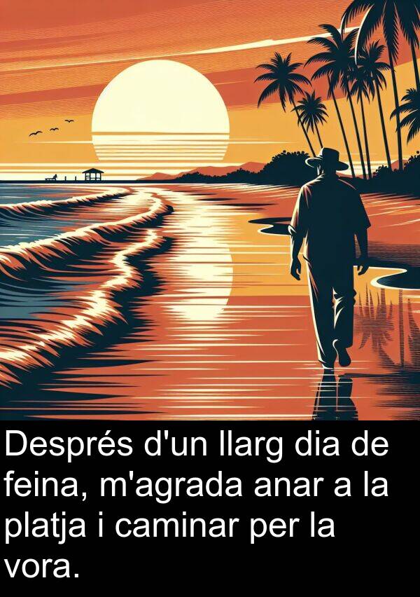 anar: Després d'un llarg dia de feina, m'agrada anar a la platja i caminar per la vora.