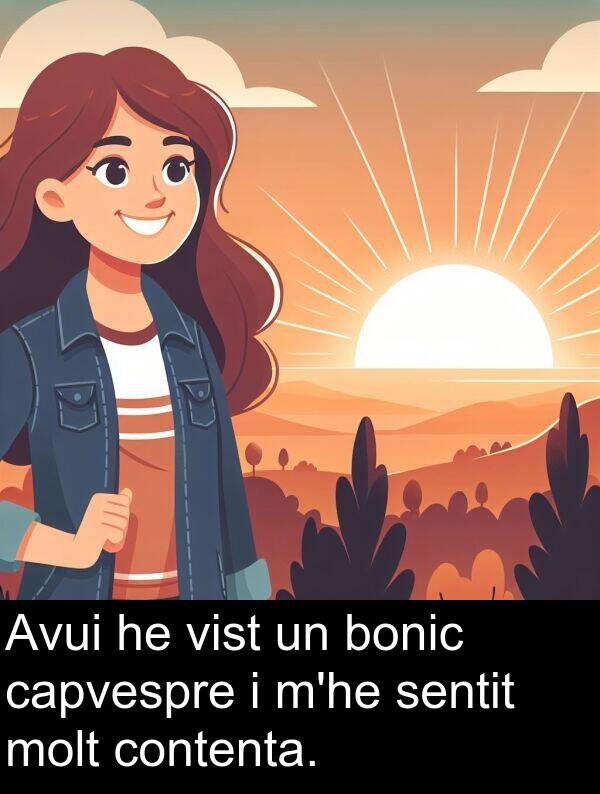 bonic: Avui he vist un bonic capvespre i m'he sentit molt contenta.