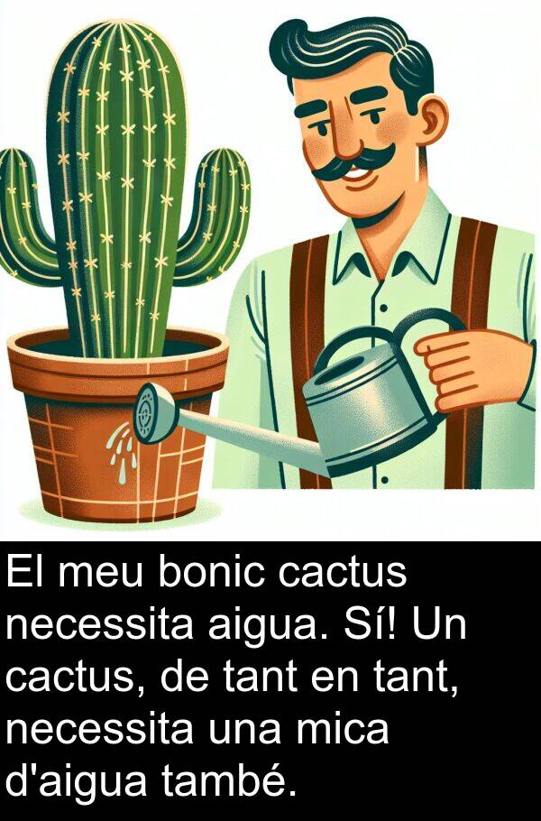 bonic: El meu bonic cactus necessita aigua. Sí! Un cactus, de tant en tant, necessita una mica d'aigua també.