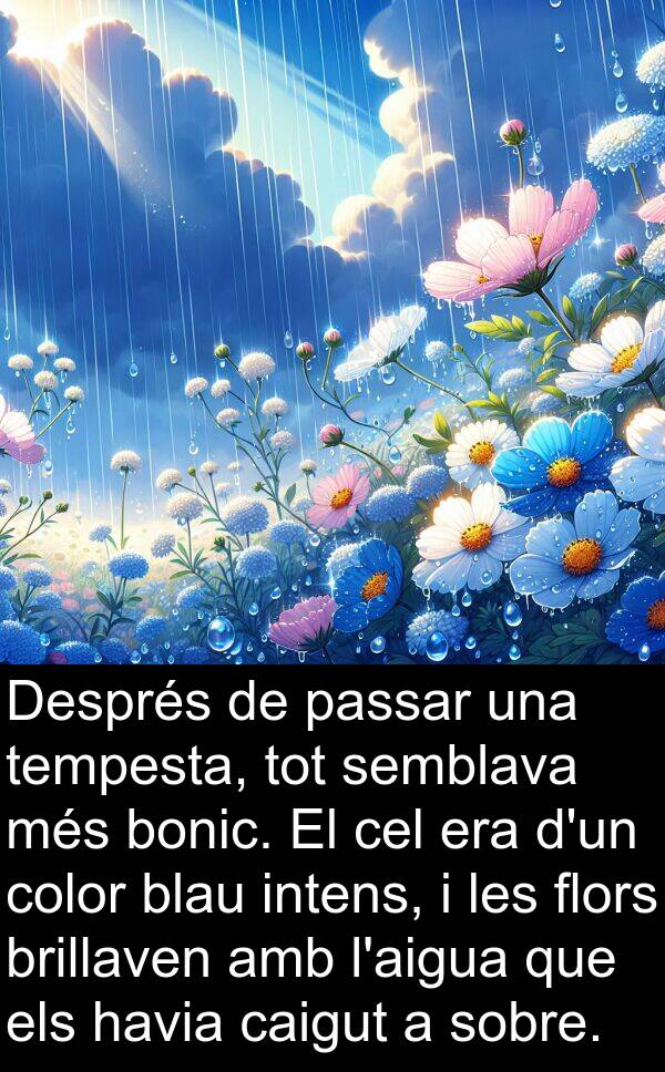 tempesta: Després de passar una tempesta, tot semblava més bonic. El cel era d'un color blau intens, i les flors brillaven amb l'aigua que els havia caigut a sobre.