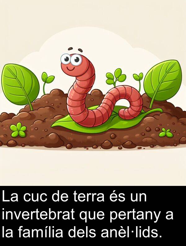 terra: La cuc de terra és un invertebrat que pertany a la família dels anèl·lids.