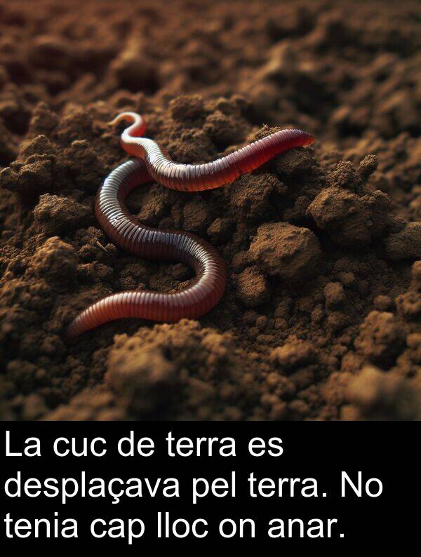 anar: La cuc de terra es desplaçava pel terra. No tenia cap lloc on anar.