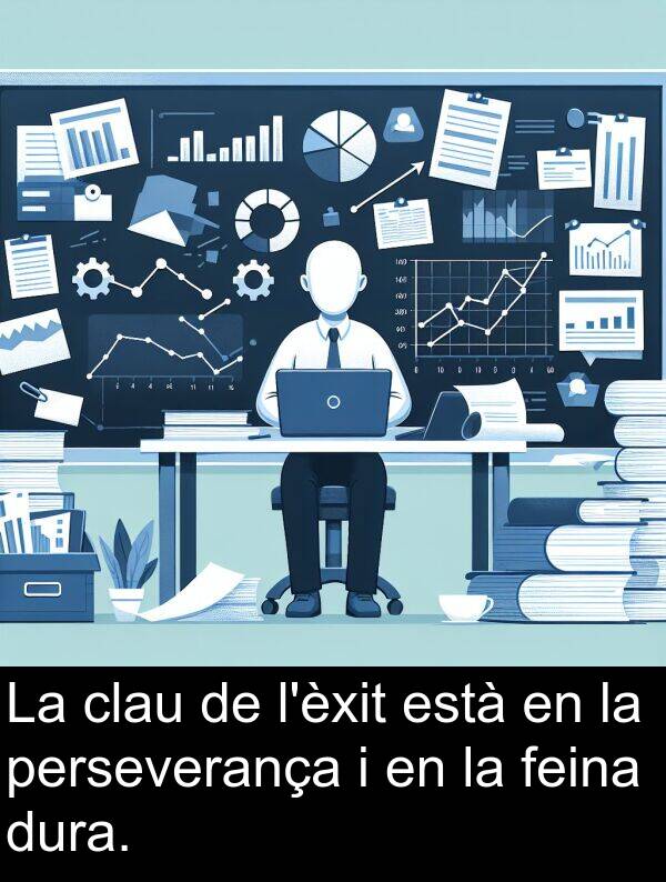 perseverança: La clau de l'èxit està en la perseverança i en la feina dura.