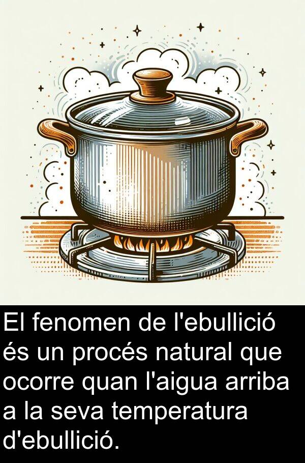 procés: El fenomen de l'ebullició és un procés natural que ocorre quan l'aigua arriba a la seva temperatura d'ebullició.