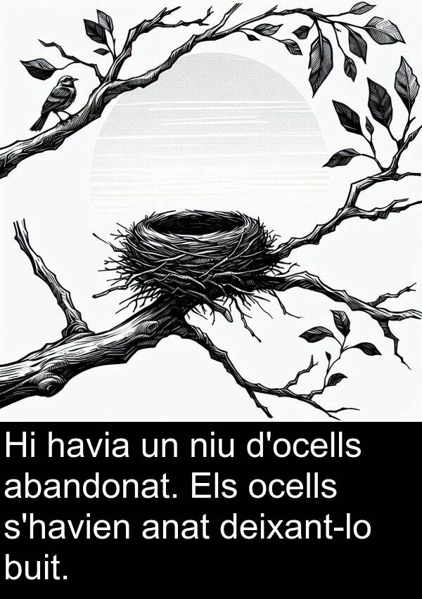 niu: Hi havia un niu d'ocells abandonat. Els ocells s'havien anat deixant-lo buit.