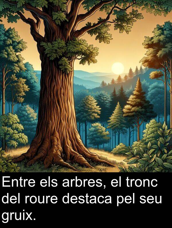 destaca: Entre els arbres, el tronc del roure destaca pel seu gruix.