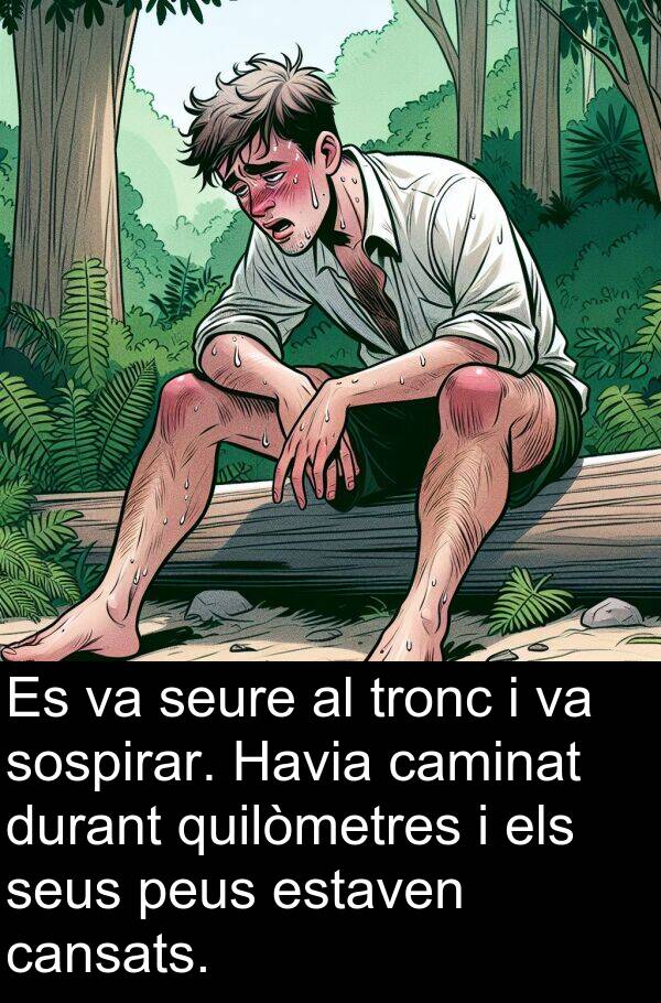 cansats: Es va seure al tronc i va sospirar. Havia caminat durant quilòmetres i els seus peus estaven cansats.
