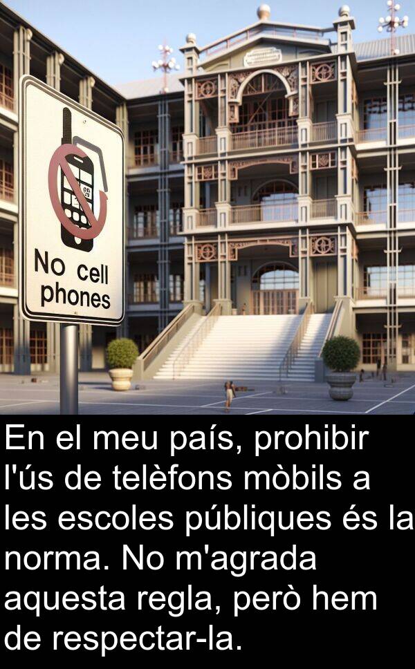 norma: En el meu país, prohibir l'ús de telèfons mòbils a les escoles públiques és la norma. No m'agrada aquesta regla, però hem de respectar-la.