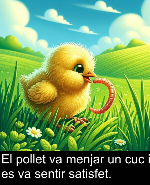 pollet: El pollet va menjar un cuc i es va sentir satisfet.