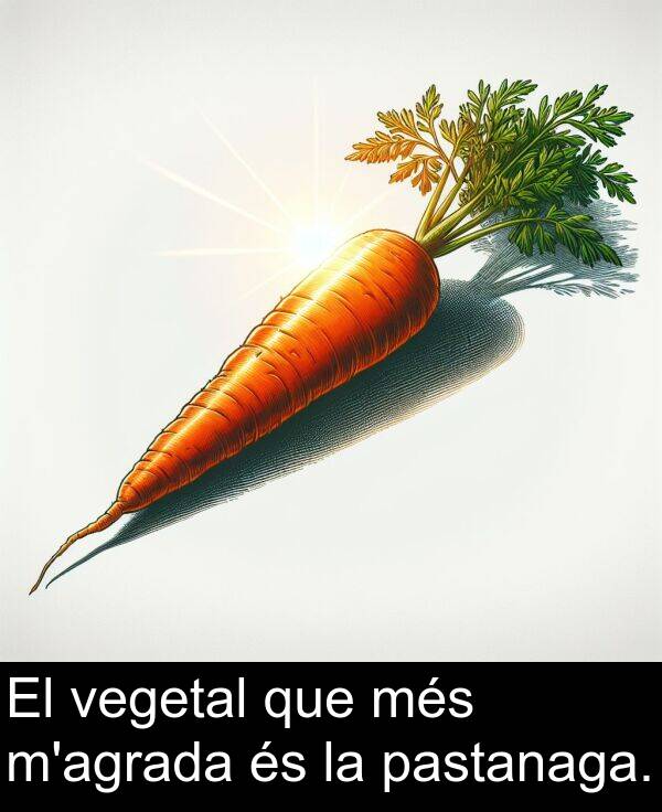 més: El vegetal que més m'agrada és la pastanaga.
