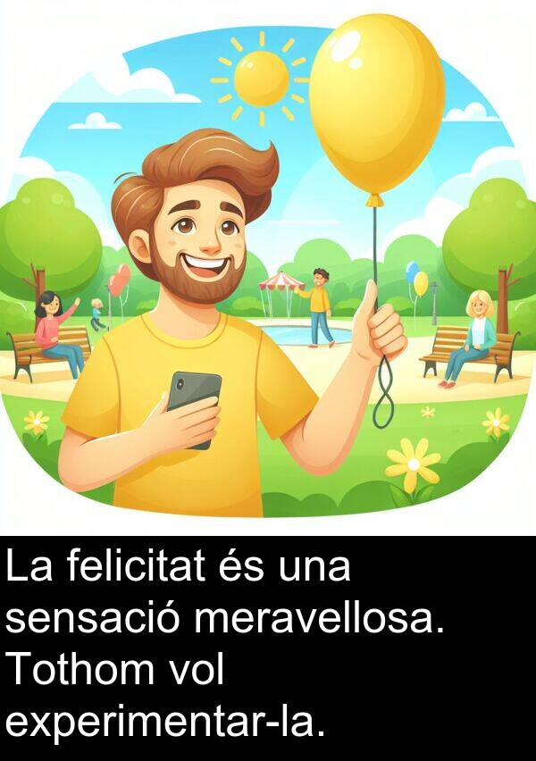 felicitat: La felicitat és una sensació meravellosa. Tothom vol experimentar-la.