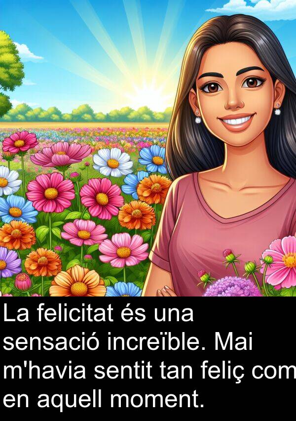 felicitat: La felicitat és una sensació increïble. Mai m'havia sentit tan feliç com en aquell moment.