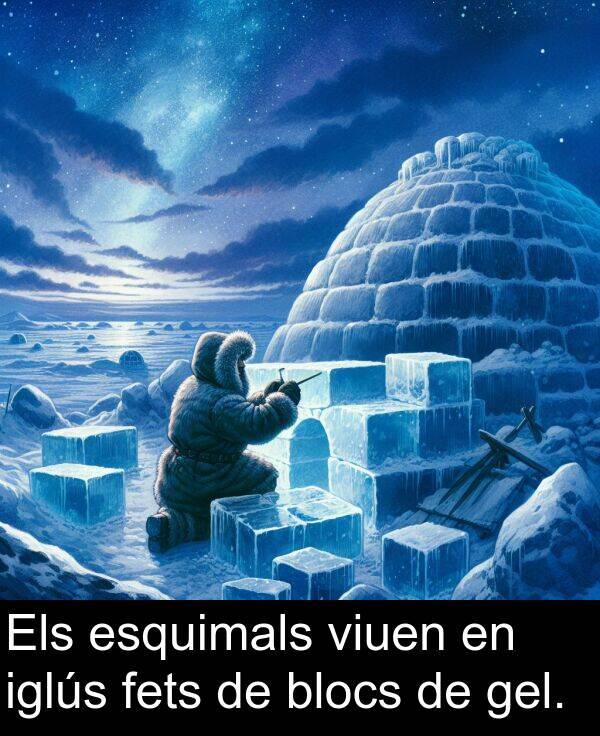 fets: Els esquimals viuen en iglús fets de blocs de gel.