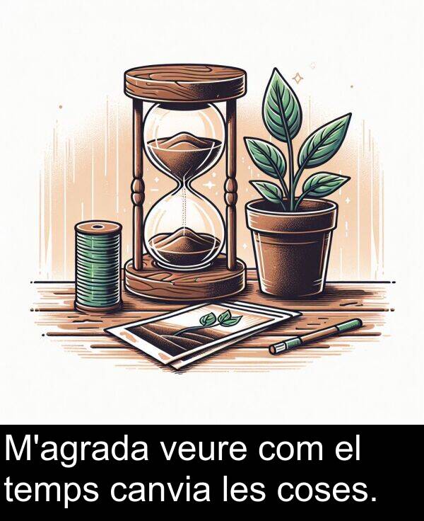 coses: M'agrada veure com el temps canvia les coses.