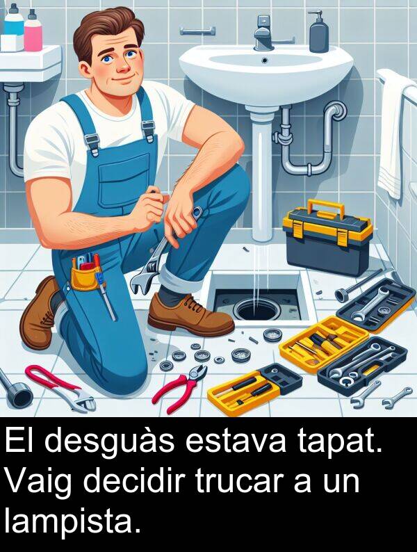 decidir: El desguàs estava tapat. Vaig decidir trucar a un lampista.