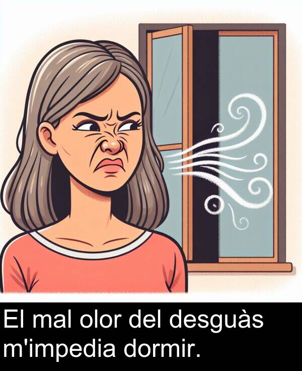 mal: El mal olor del desguàs m'impedia dormir.