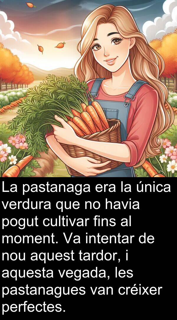 intentar: La pastanaga era la única verdura que no havia pogut cultivar fins al moment. Va intentar de nou aquest tardor, i aquesta vegada, les pastanagues van créixer perfectes.