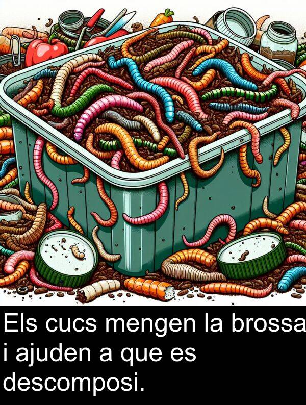 descomposi: Els cucs mengen la brossa i ajuden a que es descomposi.