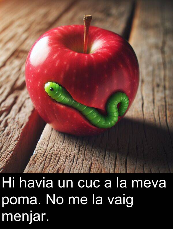 havia: Hi havia un cuc a la meva poma. No me la vaig menjar.