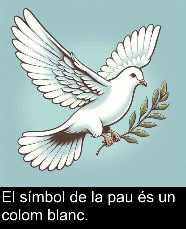 pau: El símbol de la pau és un colom blanc.