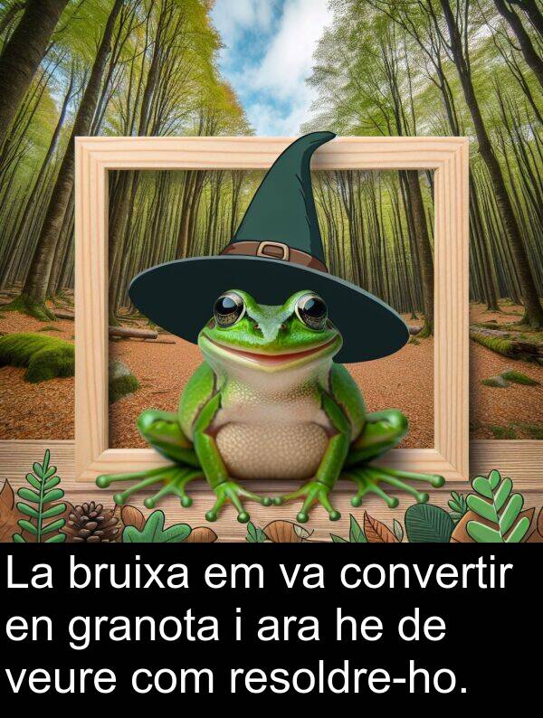 granota: La bruixa em va convertir en granota i ara he de veure com resoldre-ho.