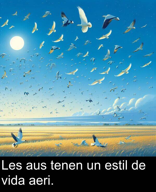 tenen: Les aus tenen un estil de vida aeri.