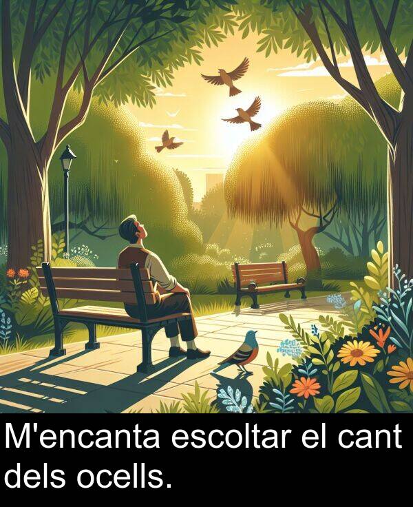 cant: M'encanta escoltar el cant dels ocells.