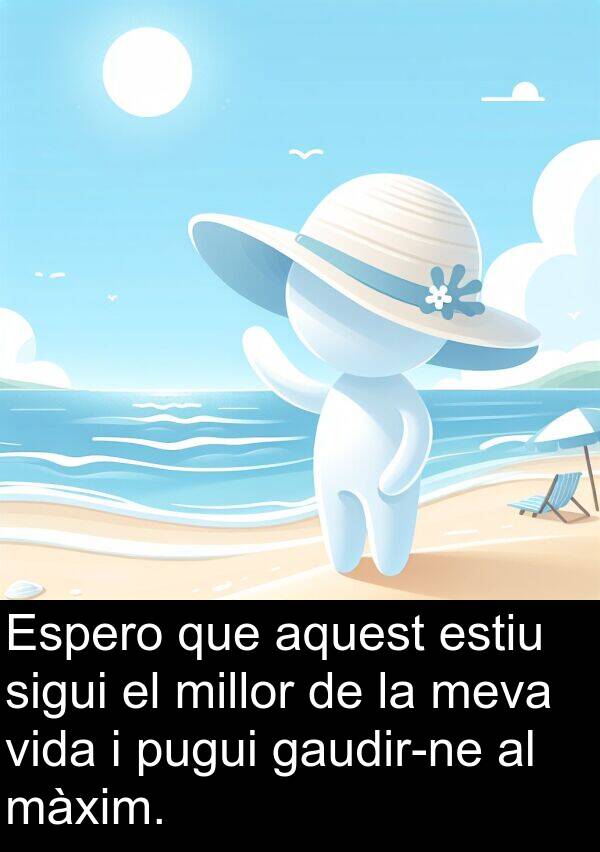 estiu: Espero que aquest estiu sigui el millor de la meva vida i pugui gaudir-ne al màxim.