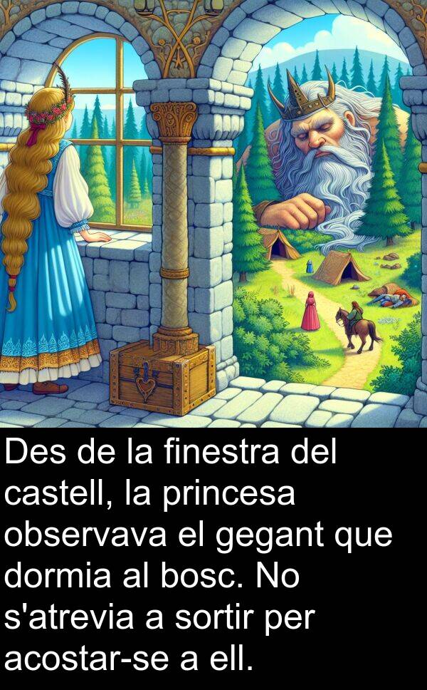 observava: Des de la finestra del castell, la princesa observava el gegant que dormia al bosc. No s'atrevia a sortir per acostar-se a ell.