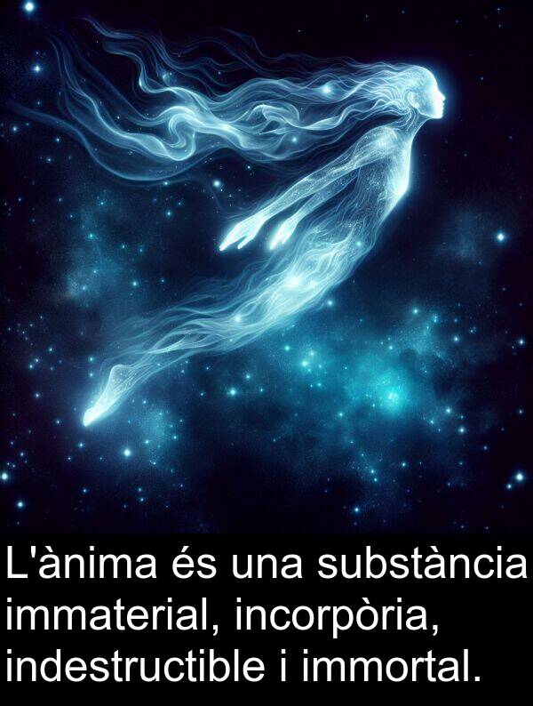 substància: L'ànima és una substància immaterial, incorpòria, indestructible i immortal.
