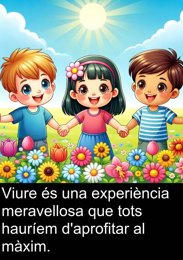experiència: Viure és una experiència meravellosa que tots hauríem d'aprofitar al màxim.