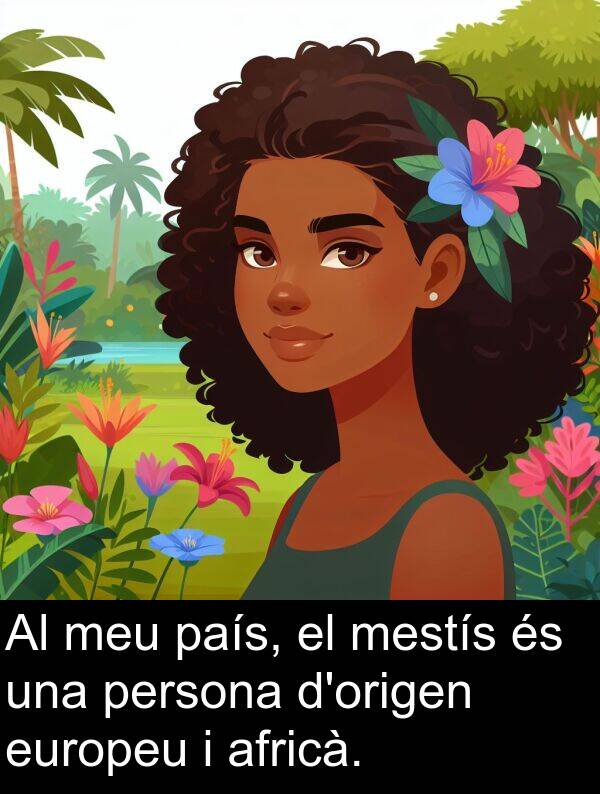 mestís: Al meu país, el mestís és una persona d'origen europeu i africà.