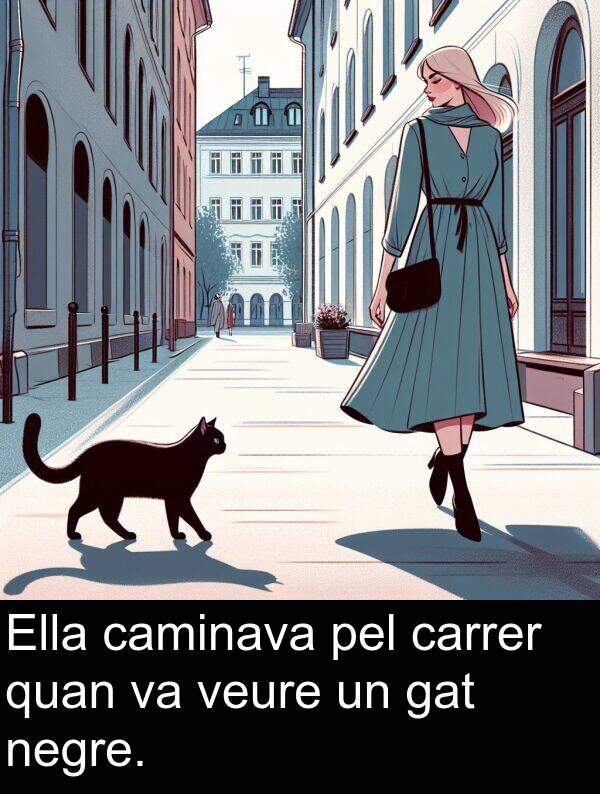 pel: Ella caminava pel carrer quan va veure un gat negre.