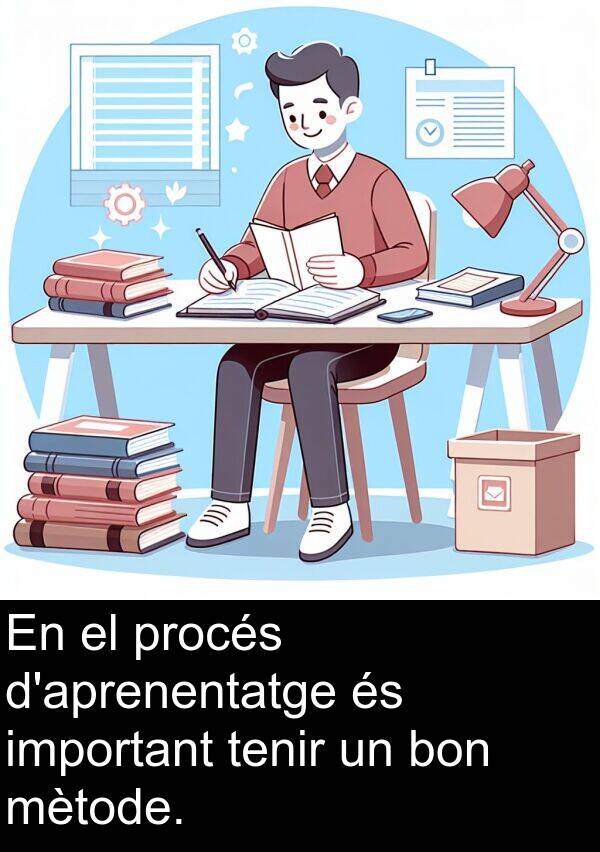 procés: En el procés d'aprenentatge és important tenir un bon mètode.