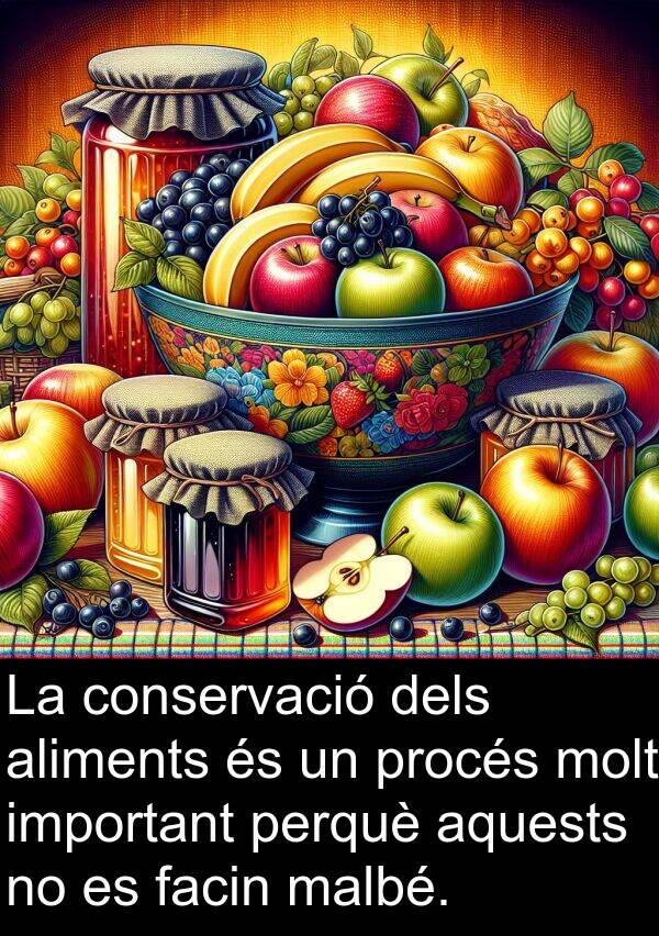 procés: La conservació dels aliments és un procés molt important perquè aquests no es facin malbé.