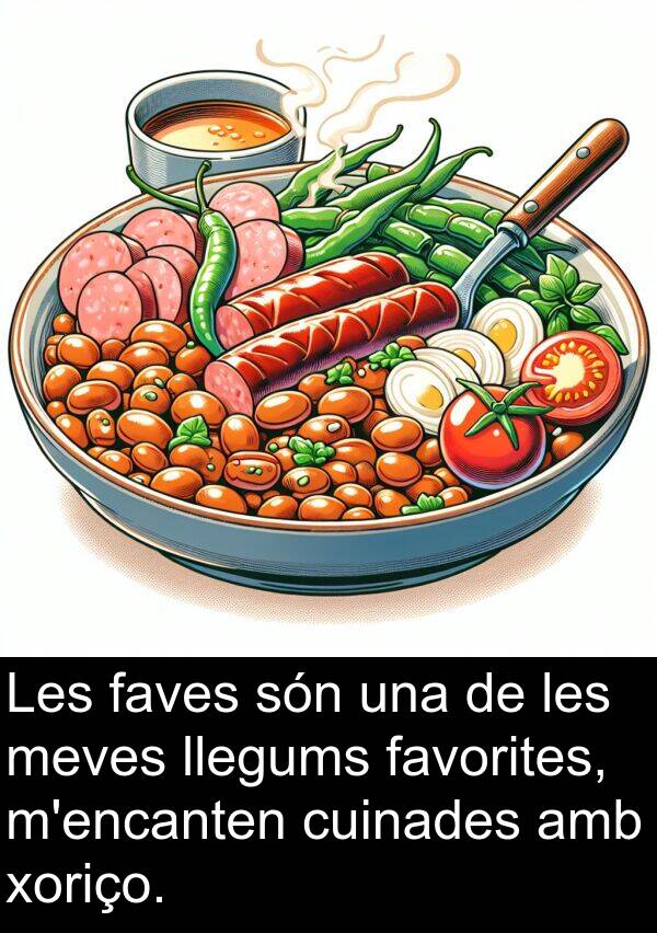 favorites: Les faves són una de les meves llegums favorites, m'encanten cuinades amb xoriço.