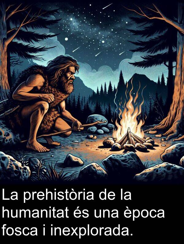 humanitat: La prehistòria de la humanitat és una època fosca i inexplorada.