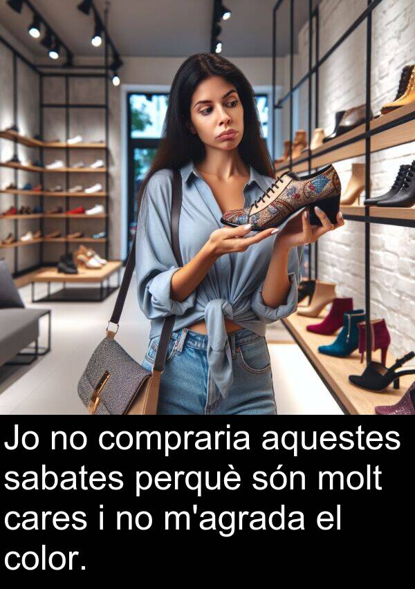 sabates: Jo no compraria aquestes sabates perquè són molt cares i no m'agrada el color.